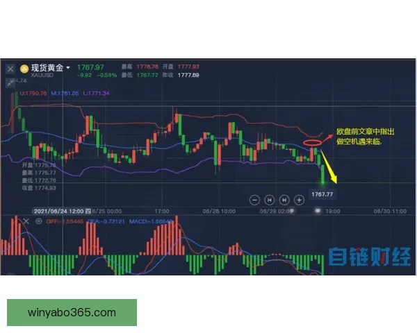 世界杯精彩对决比分预测与分析助你精准把握赛事结果